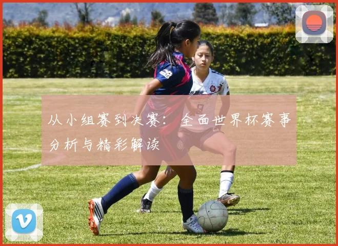 从小组赛到决赛：全面世界杯赛事分析与精彩解读